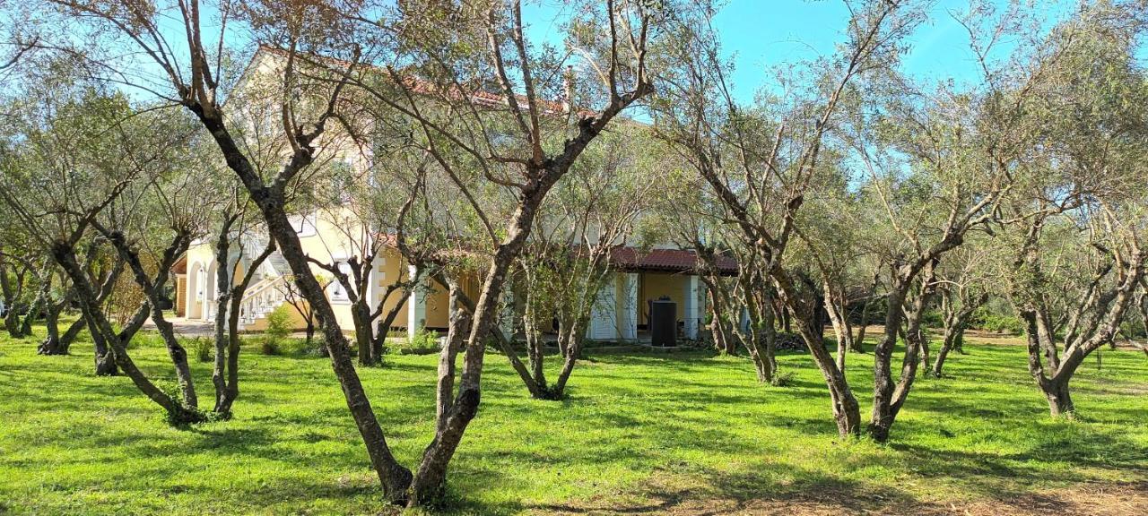 Antonios Olive Garden Acharavi Kerkyra Apartment Exterior foto