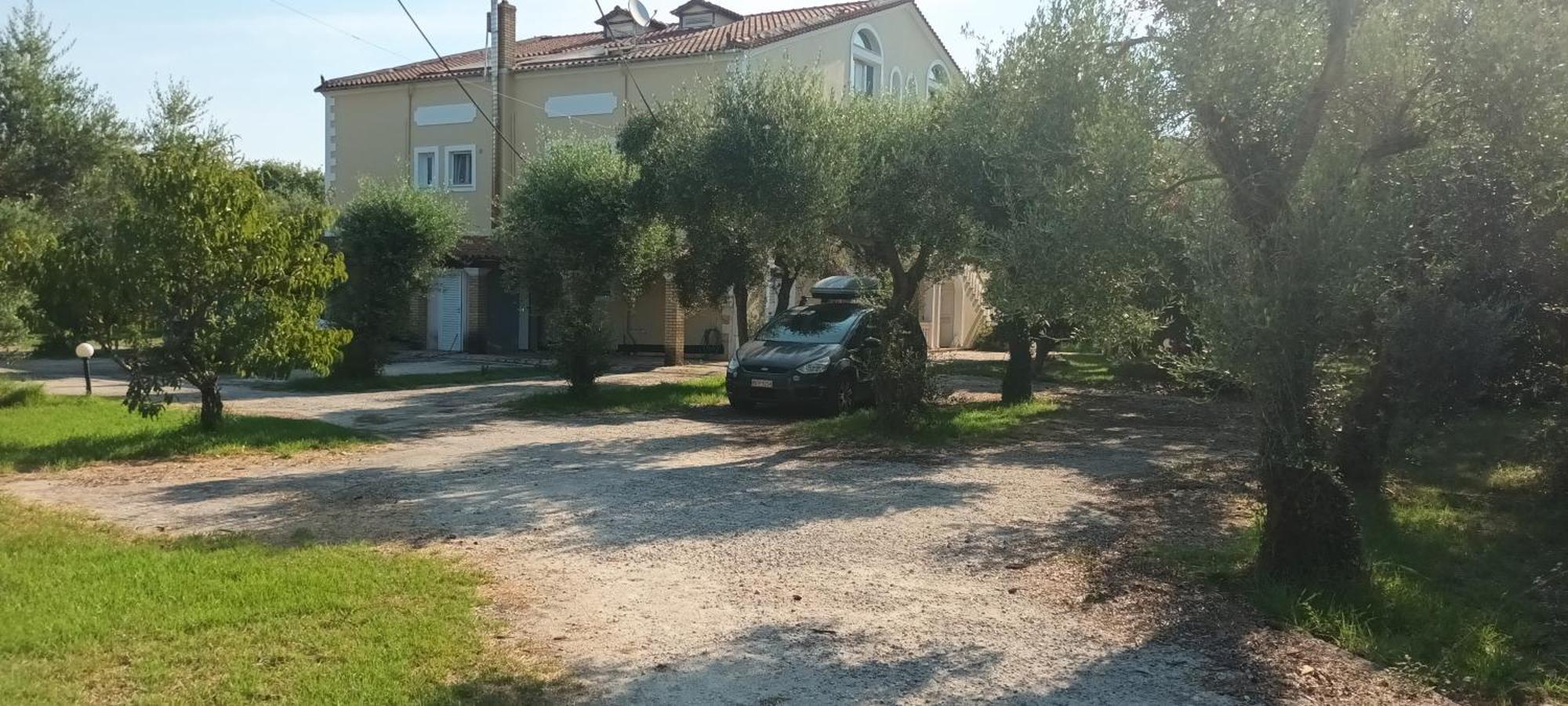 Antonios Olive Garden Acharavi Kerkyra Apartment Exterior foto